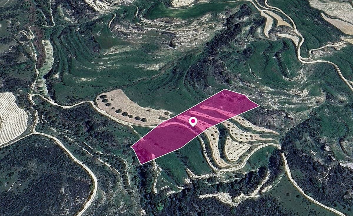 Animal Breeding Zoned Field in Stroumpi, Paphos