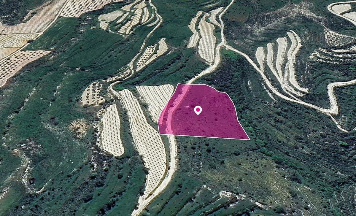 Field, Koili, Paphos