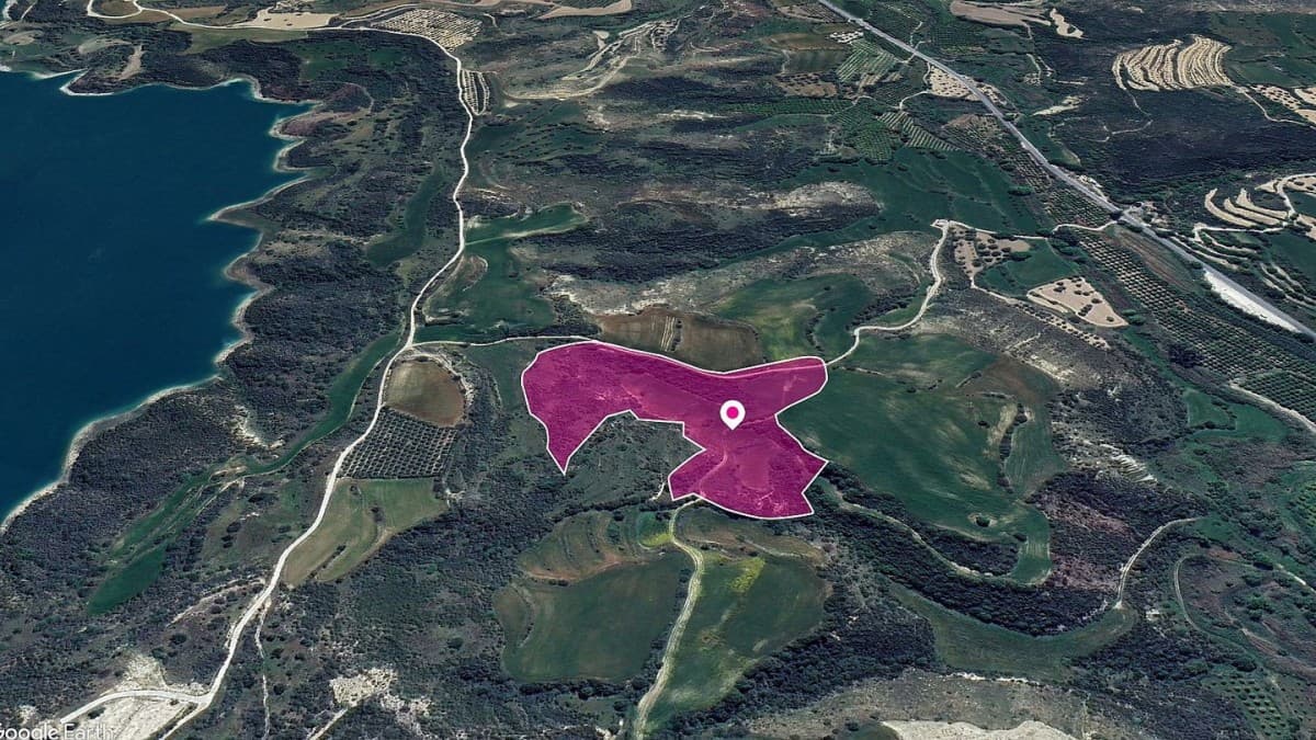Field in Kato Akourdaleia, Paphos